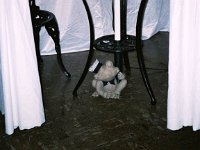 photos 2000-200900729